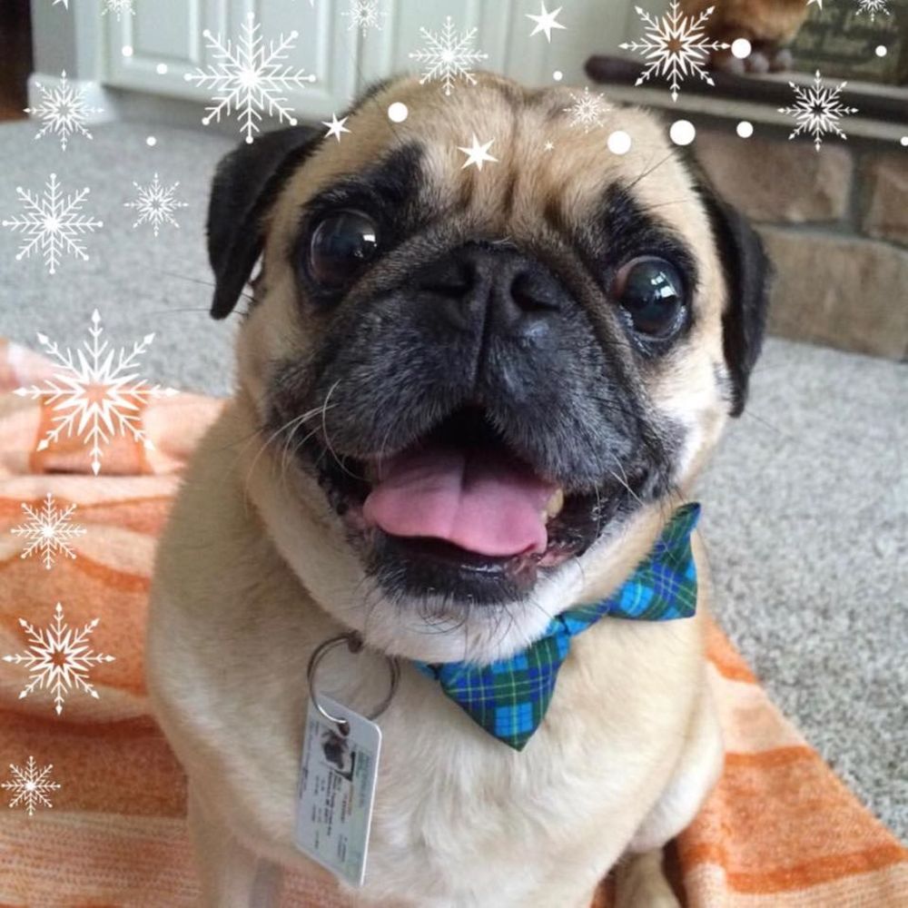 Meet your Posher, Cari